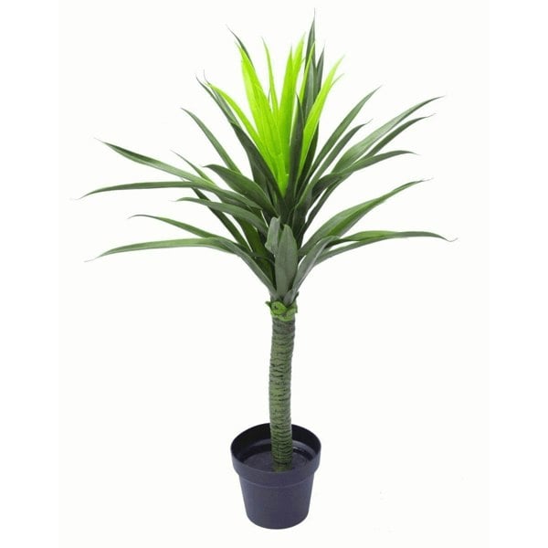 Realistic Artificial Yukka Plants