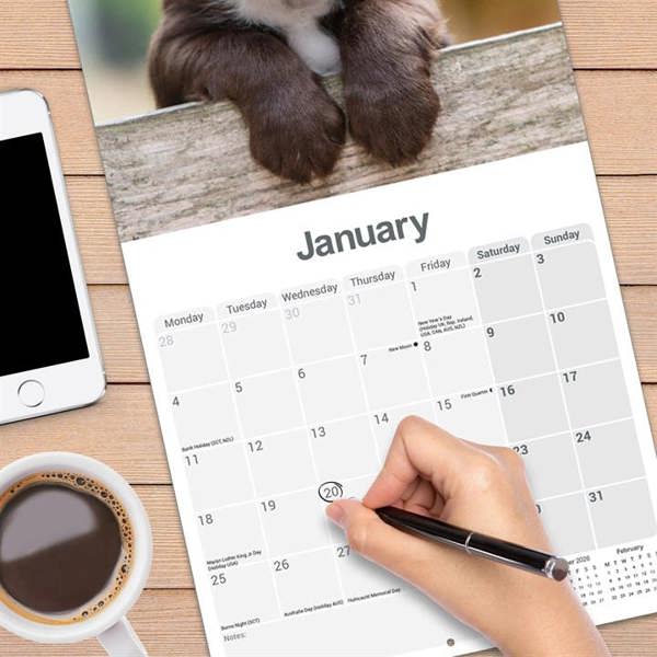 Sprocker Spaniel Calendar 2027, Wall Calendars, Month To View, Dogs, Gift