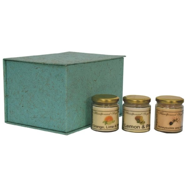 Artisan Furniture Candle Gift Set of 3 (Fruit)