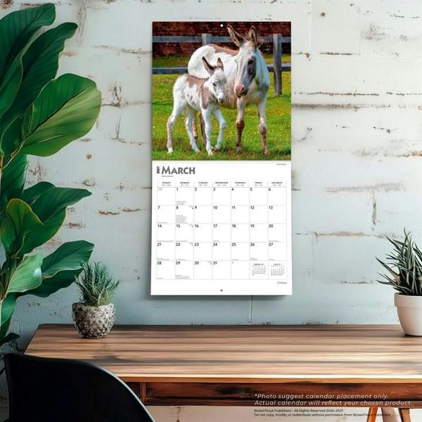 Donkeys Calendar 2027, Wall Calendars, Month To View, Animals, Gift