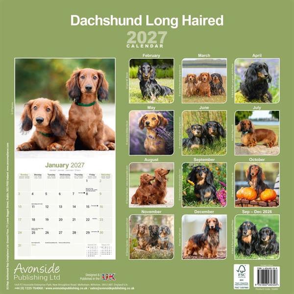 Long Haired Dachshund Calendar 2027, Wall Calendars, Month To View, Dogs, Gift