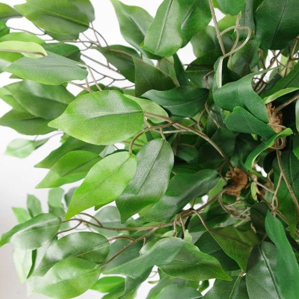 Leaf 90cm Artificial Evergreen Ficus Tree