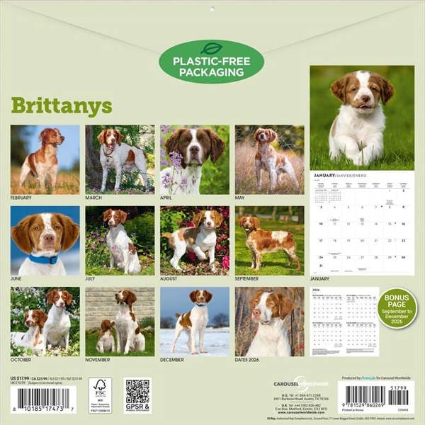 Brittanys Calendar 2027, Wall Calendars, Month To View, Dogs, Gift