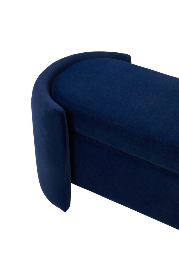 Living and Home Storage Bench in Blue