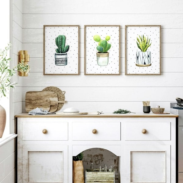 Wall pictures for Kitchen | set of 3 Succulents prints