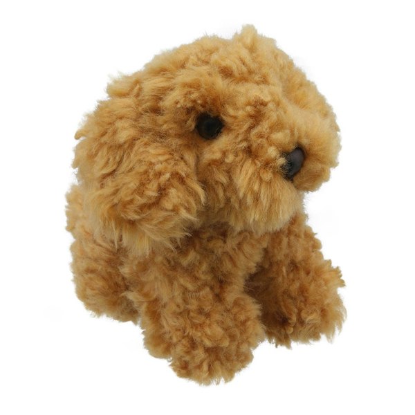 Wilberry Cockapoo - Wilberry Minis