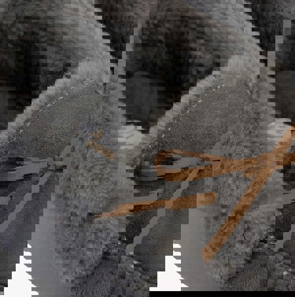 Dr Keller VANESSA Womens Slippers Grey