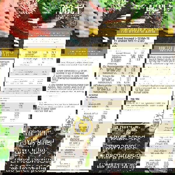 Bronte Heritage All Purpose Flower Soluble Plant Food Nutrient Rich Fast Acting Fertiliser Balanced Formula Healthier Growth Bigger Blooms 250L Feed