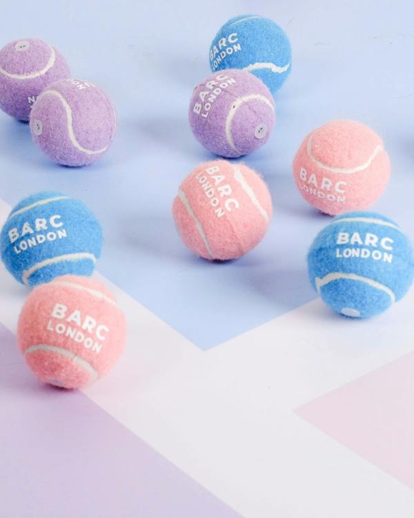 Barc London Blue Mini Dog Ball