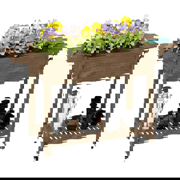 Raised Planter