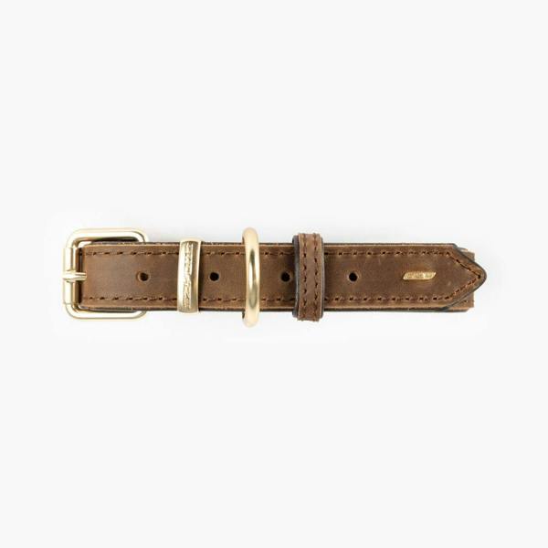 EzyDog Oxford Leather Classic Dog Collar in Brown