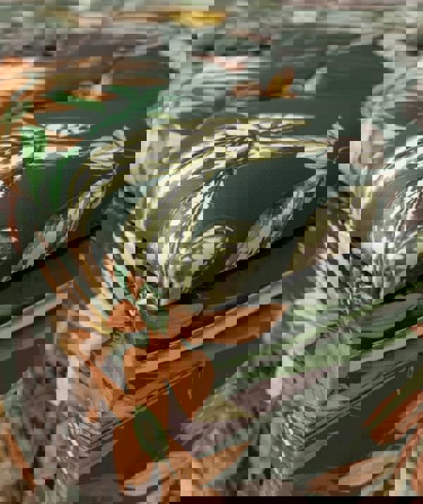 ISTOOLS Premium Green Floral Large Square Ottoman | Storage Footstool Pouffe UK