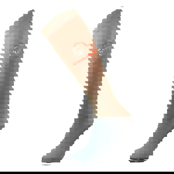 t4option1_0