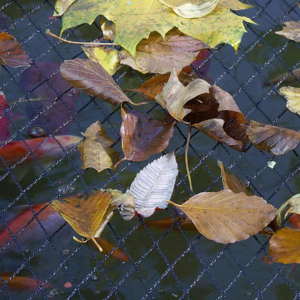Blagdon Pond Cover Netting Fine Mesh Pond Protection with Pegs (3m x 2m)