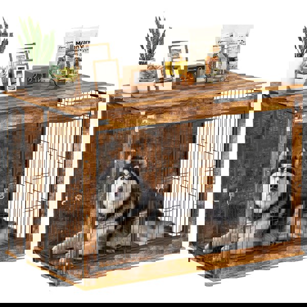 D02-209V01RB
