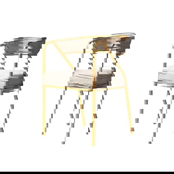 Dwight Dining Chair, Gold Frame-Weilai concept-Weilai Concept