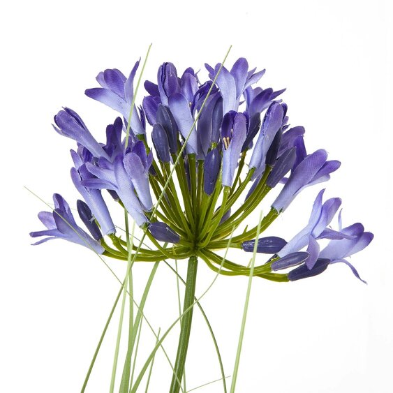 Wyld Haus Artificial Flowers 90cm Blue Agapanthus Plant (pot not included)