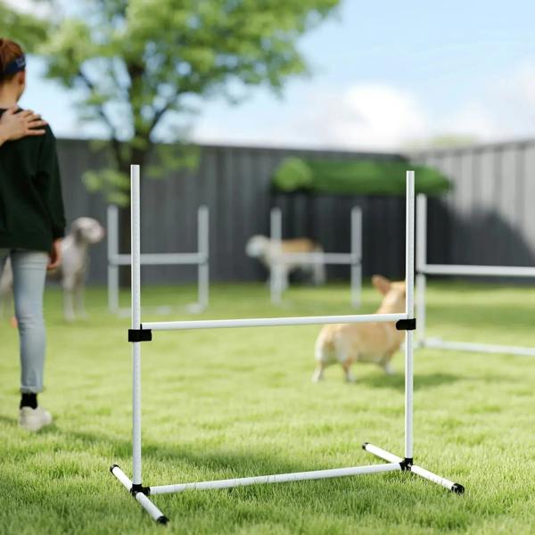 White adjustable dog agility jump hurdle standing on grass for training practice
