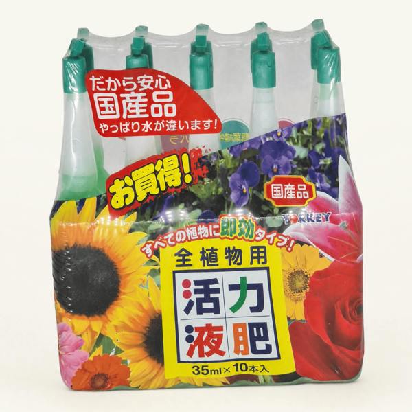 Yorkshire Bonsai Generic Brand Slow Release Bonsai Food / Fertiliser (Pack of 10)