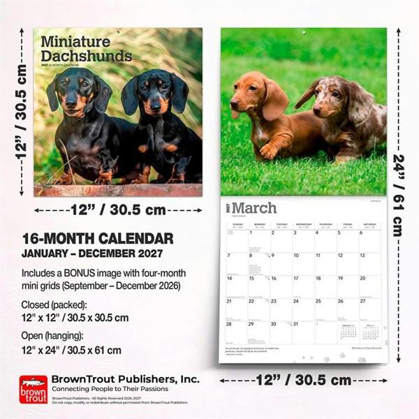 Miniature Dachshunds Calendar 2027, Wall Calendars, Month To View, Dogs, Gift