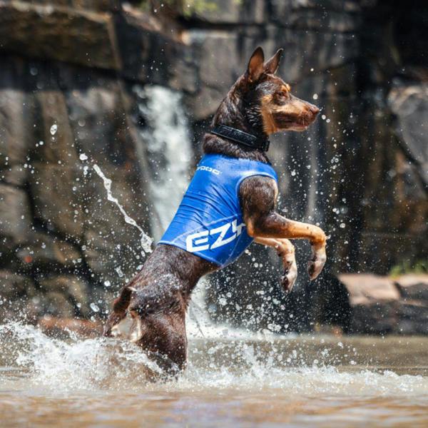 EzyDog UPF 50+ Dog Rash Vest in Blue
