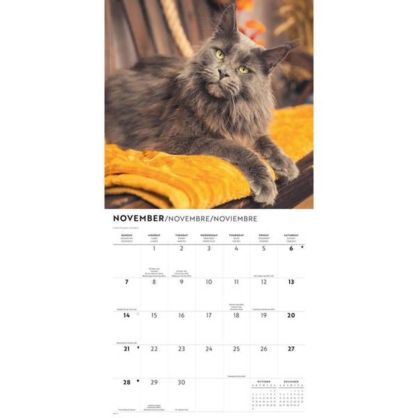 Maine Coon Cats Calendar 2027, Wall Calendars, Month To View, Cats, Gift