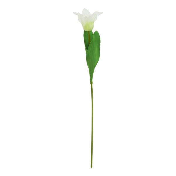 Wyld Haus Set of 3 Artificial Flowers White Curcuma Stem