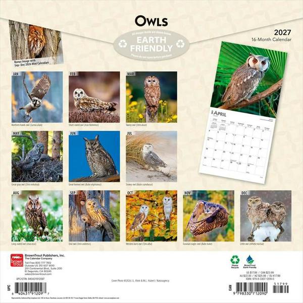 Owls Calendar 2027, Wall Calendars, Month To View, Animals, Gift