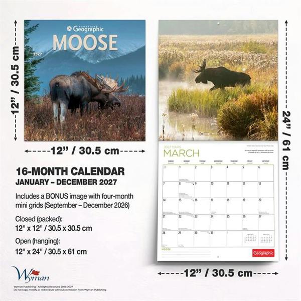 Moose Calendar 2027, Wall Calendars, Month To View, Animals, Gift