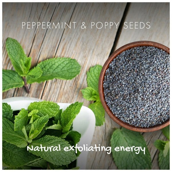 Peppermint and poppy seeds ingredients on a table