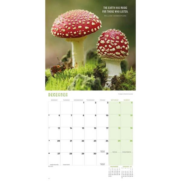 Marvellous Mushrooms Calendar 2027, Wall Calendars, Month To View, Natural World, Gift