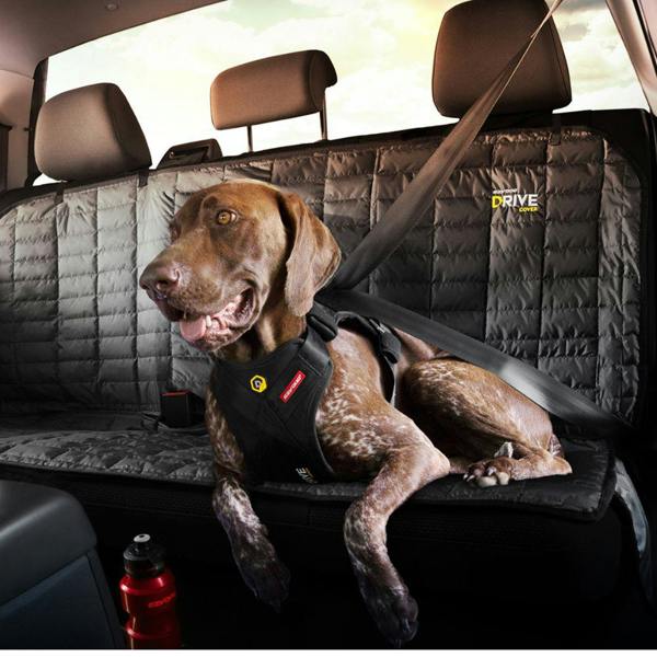 EzyDog Drive Car Harness