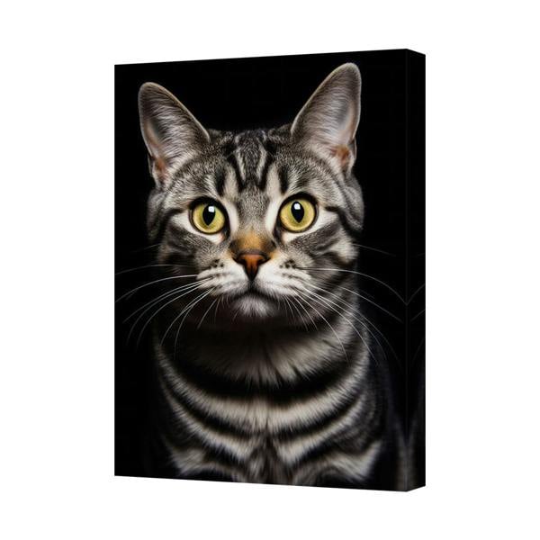 Benjamin Tate Design Tabby Cat Canvas Print Close Up Portrait With Yellow Eyes Wall Art