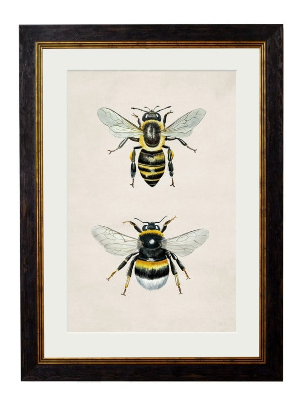 Exceptional Art Honey and Bumble Bee