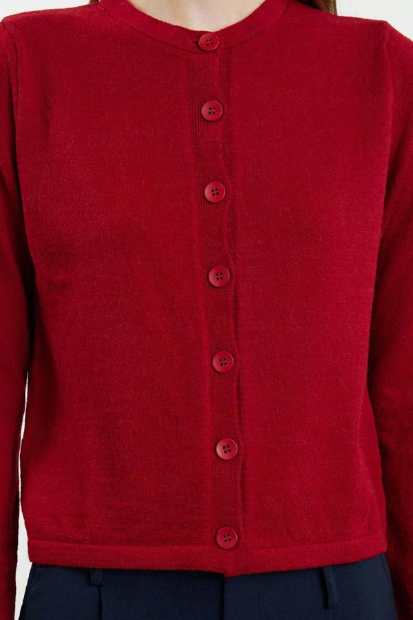 Long Sleeve Regular Fit Knitted Cardigan