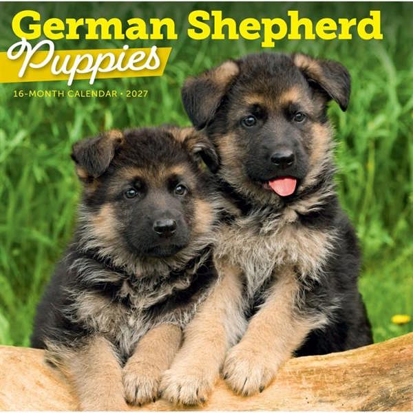 German Shepherd Puppies Calendar 2027, Wall Calendars, Month To View, Dogs, Gift