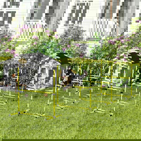 Pet Agility Set