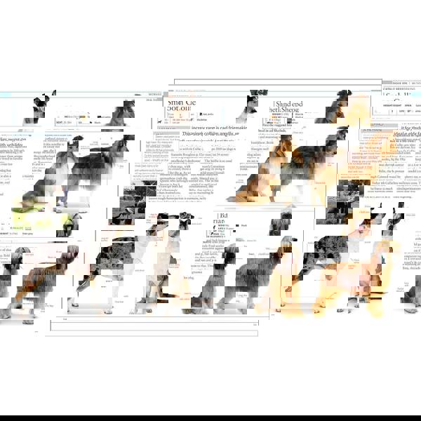 The Dog Encyclopedia: The Definitive Visual Guide (DK Pet Encyclopedias)