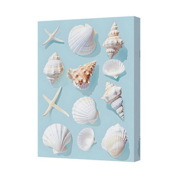 Benjamin Tate Design Seashell Canvas Wall Art Coastal Beach Decor Print 8127