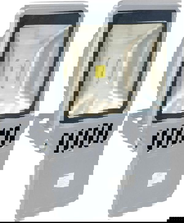 Eagle 100W Led Flood Light Grey