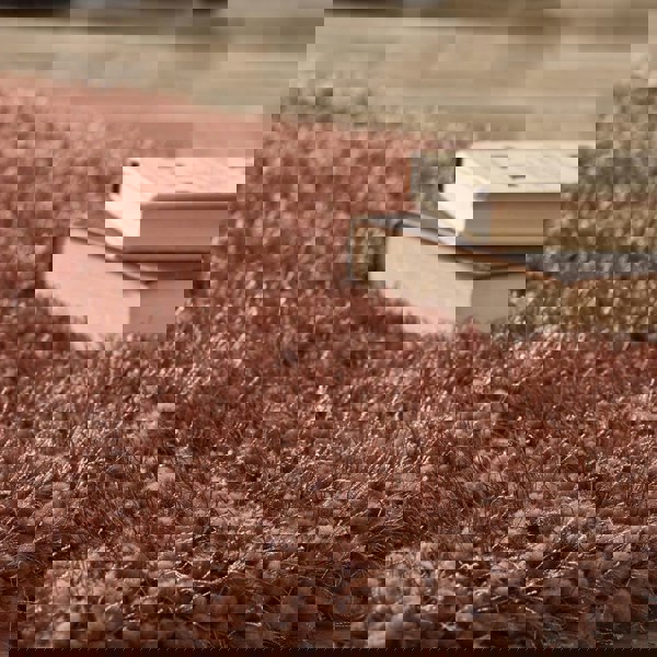 Origins Chicago Rust