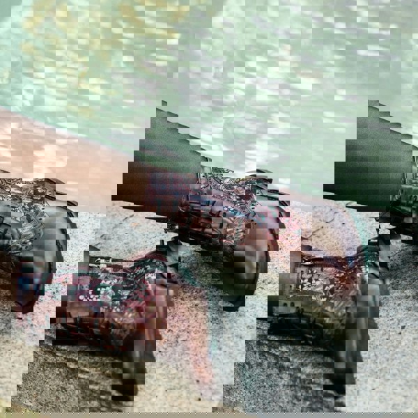 Embassy London Mantis - Floral & Burgundy - Women's above-the-ankle lace-up boot with brogue & paisley detailing