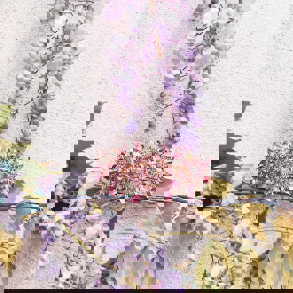 crystal hair clip rose in pink