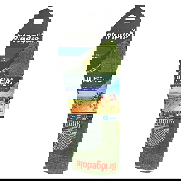 t4option1_1