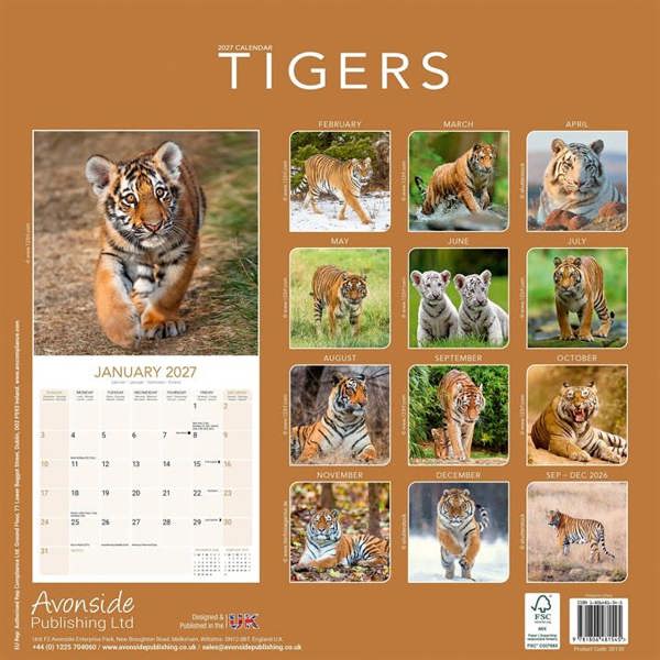 Tigers Calendar 2027, Wall Calendars, Month To View, Animals, Gift