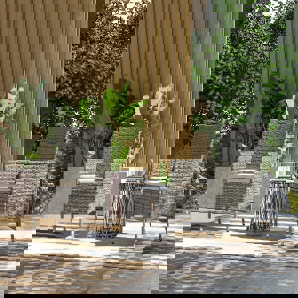 Rattan Dining chairs