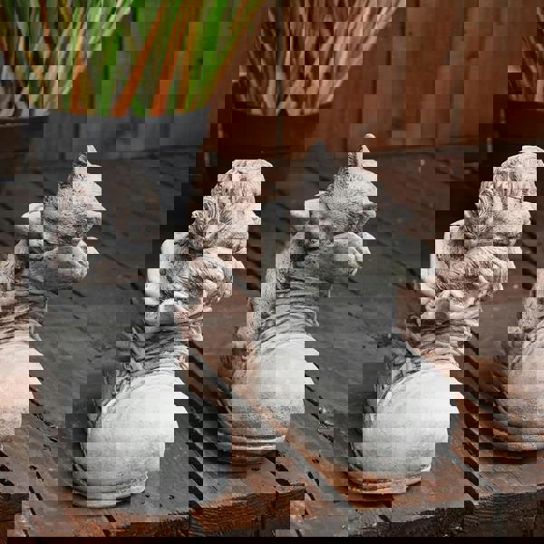 Super cute Pair of Stone cast Cat and Dog in Shoes