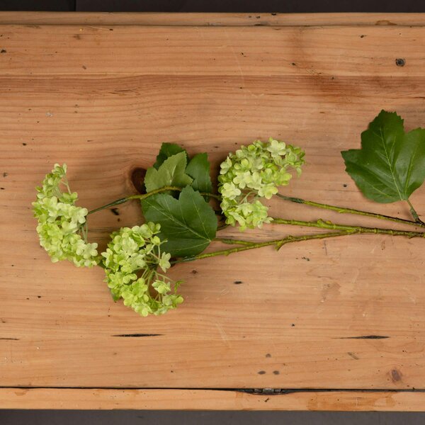 Wyld Haus Set of 3 Artificial Flowers Green Viburnum Sprays