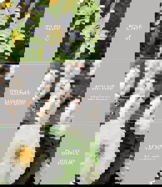 Heart & Home Cotton Blossom - Wax Melt