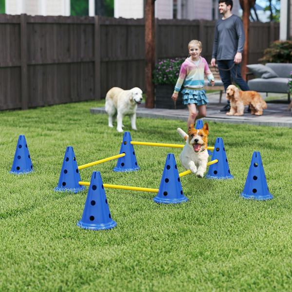 Pet Agility Set